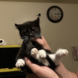 Photo of Bingo