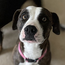 Photo of Jessie