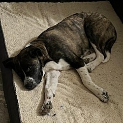 Photo of Phoenix