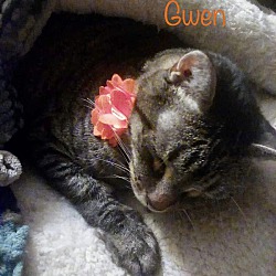 Photo of Gwen