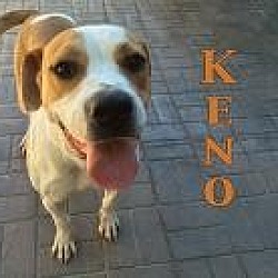 Photo of Keno