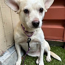 Photo of Sandy