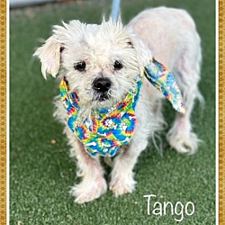 Photo of TANGO