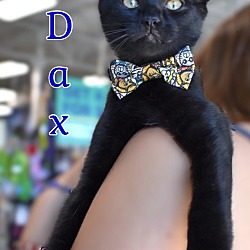Photo of Dax
