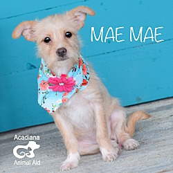 Thumbnail photo of Mae Mae #2