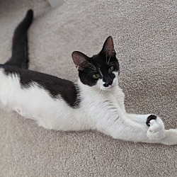 Photo of Momma