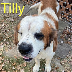 Thumbnail photo of Tilly #2