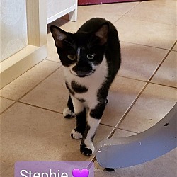 Thumbnail photo of Stephie #2