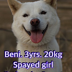 Thumbnail photo of Beni #1