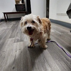 Photo of Captain