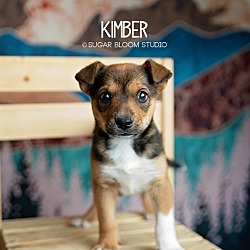 Photo of Kimber