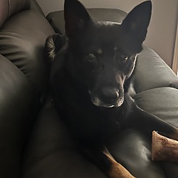 Photo of Betty