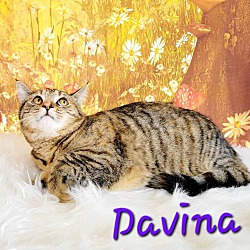 Thumbnail photo of Davina #2