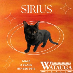 Photo of SIRIUS