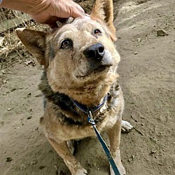 Photo of PEANUT