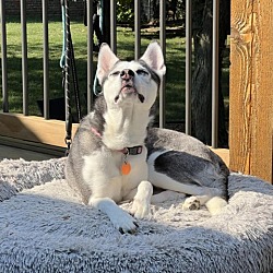 Photo of Blu