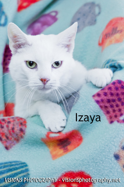 Photo of Izaya