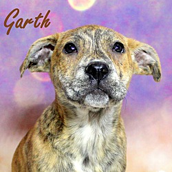 Thumbnail photo of Garth~meet me! #1