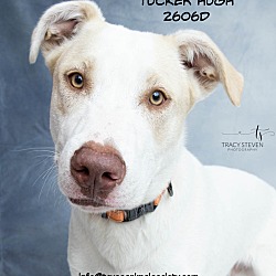 Photo of Tucker-Hugh