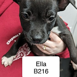 Photo of Ella B216
