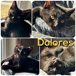 Photo of Dolores