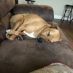 Thumbnail photo of Scooby #4