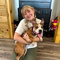 adopt a pet