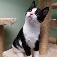 Almost Home Foundation In Elk Grove Village Illinois