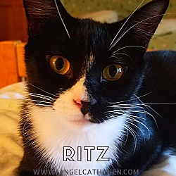 Photo of Ritz