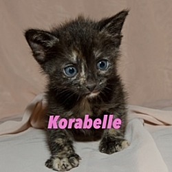Photo of Korabelle