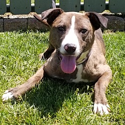 Photo of Harley