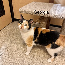 Thumbnail photo of Georgia #4