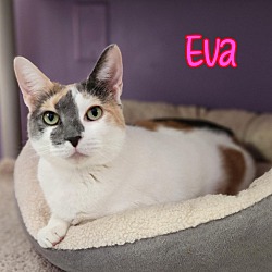 Thumbnail photo of Eva #2