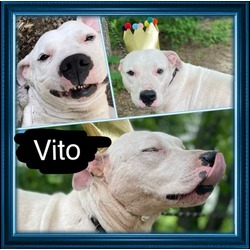 Photo of Vito