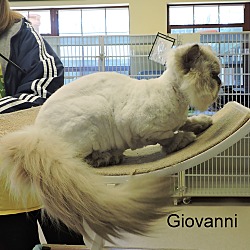 Thumbnail photo of Giovanni #2