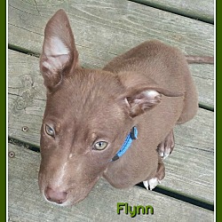Thumbnail photo of Flynn #3
