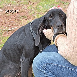 Thumbnail photo of Sissie #2