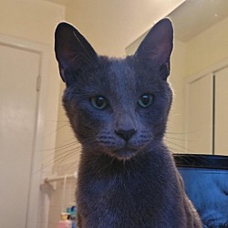 Photo of Soot (mom) BM