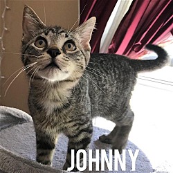 Thumbnail photo of Johnny #2