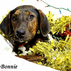 Thumbnail photo of Bonnie ~ meet me! #1