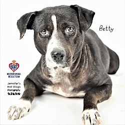 Photo of Betty