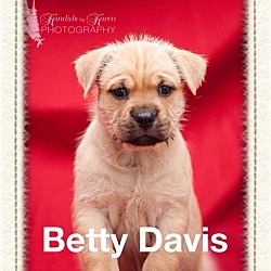 Thumbnail photo of Betty Davis #1