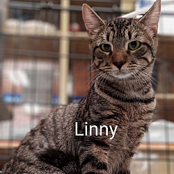 Thumbnail photo of Linny #2