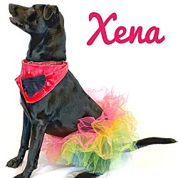 Thumbnail photo of Xena 2021 #2