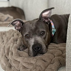Photo of Astrid - AVAILABLE
