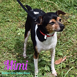 Thumbnail photo of Mimi #2