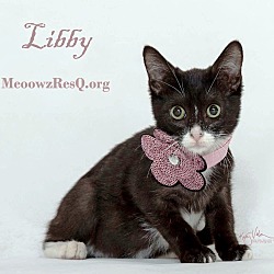 Thumbnail photo of Libby #2