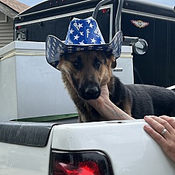 Photo of Zeus