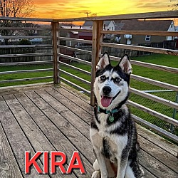 Photo of Kira