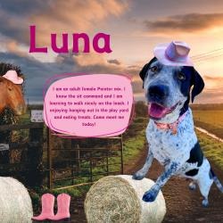 Thumbnail photo of Luna #1